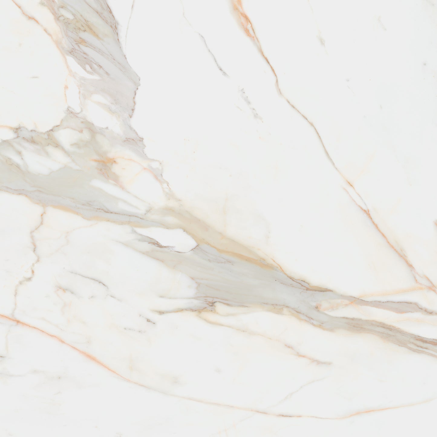 Porcelain Ceramic Tile - CALACATA Collection available in 3 sizes, 3 colors and 2 finishs.