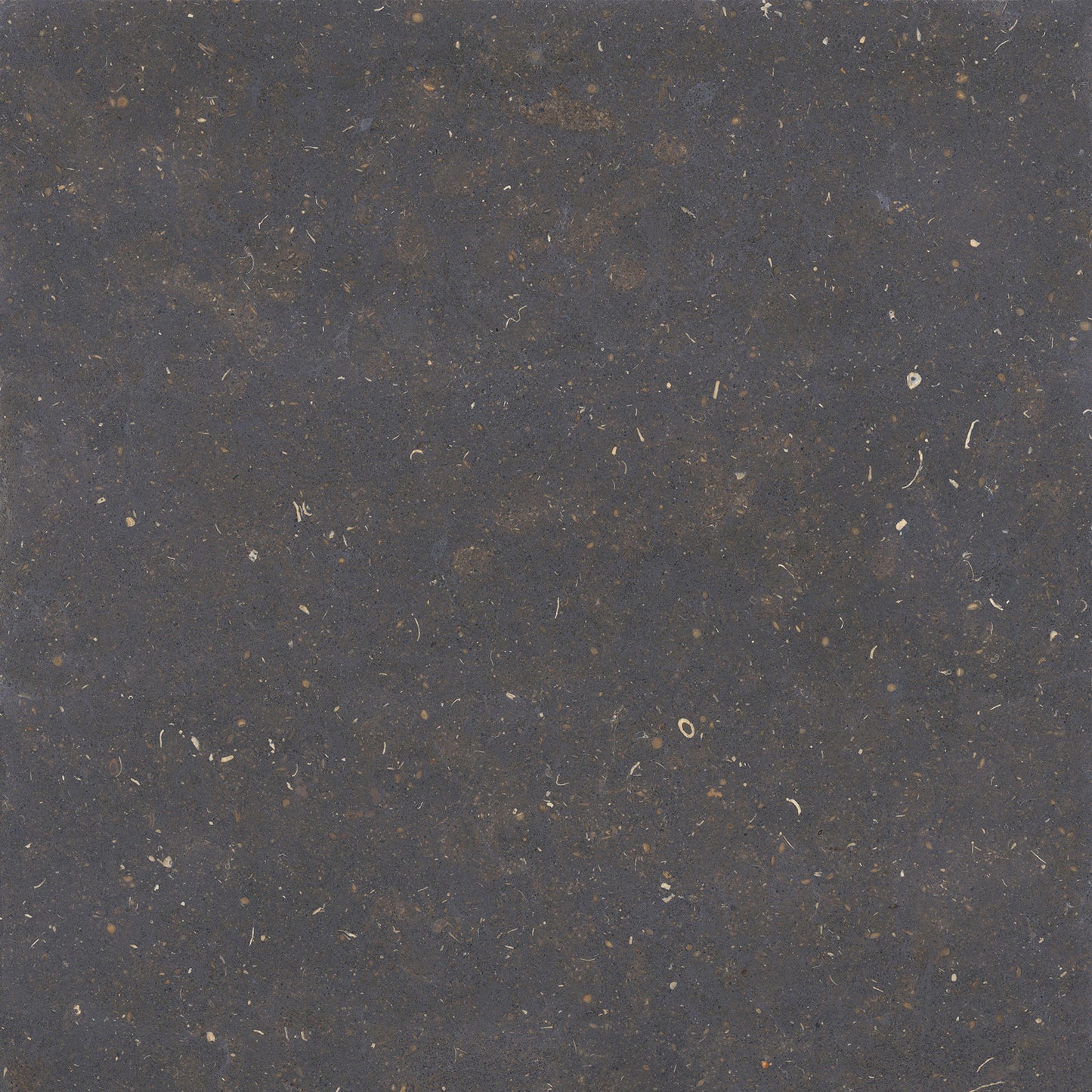 Porcelain ceramic Tile -  (T) C DOVER Collection available in 2 sizes, 3 colors and 1 finish.