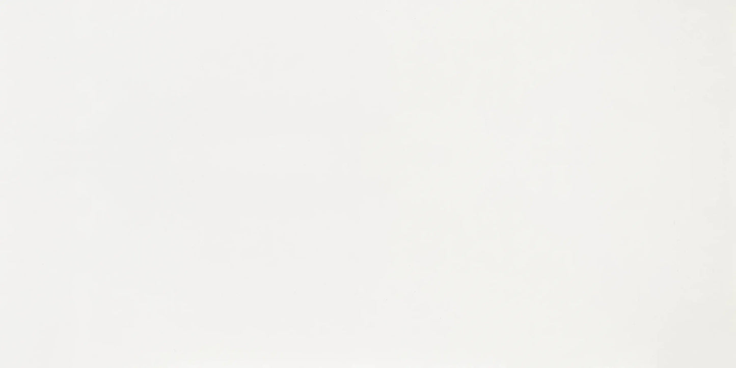 Countertop Quartz 2cm - 3cm TCE 4002 - 63x126 in