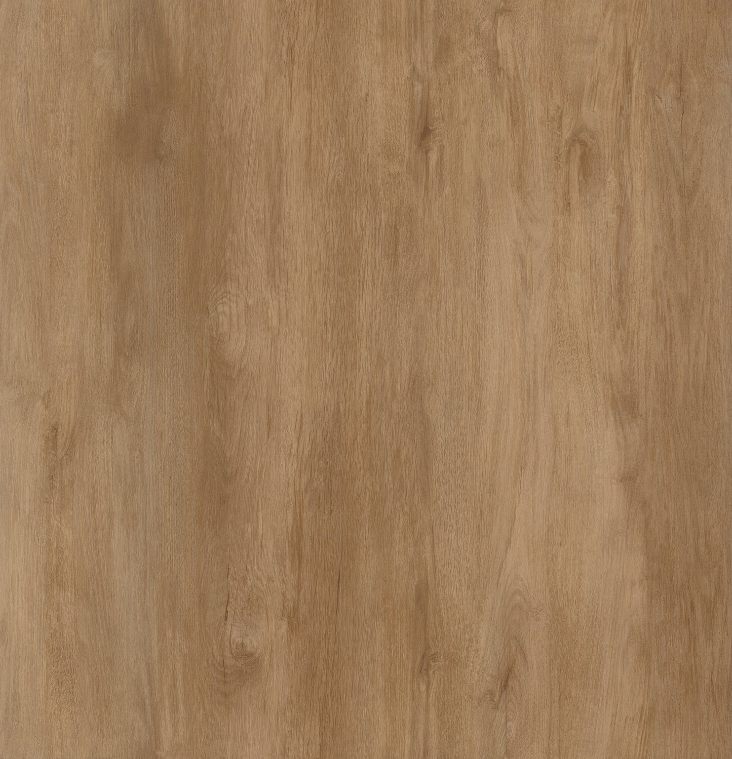 Collection Luxury Vinyl Coastline 4,8 mm, disponible en 1 taille, 10 couleurs et 1 finition.