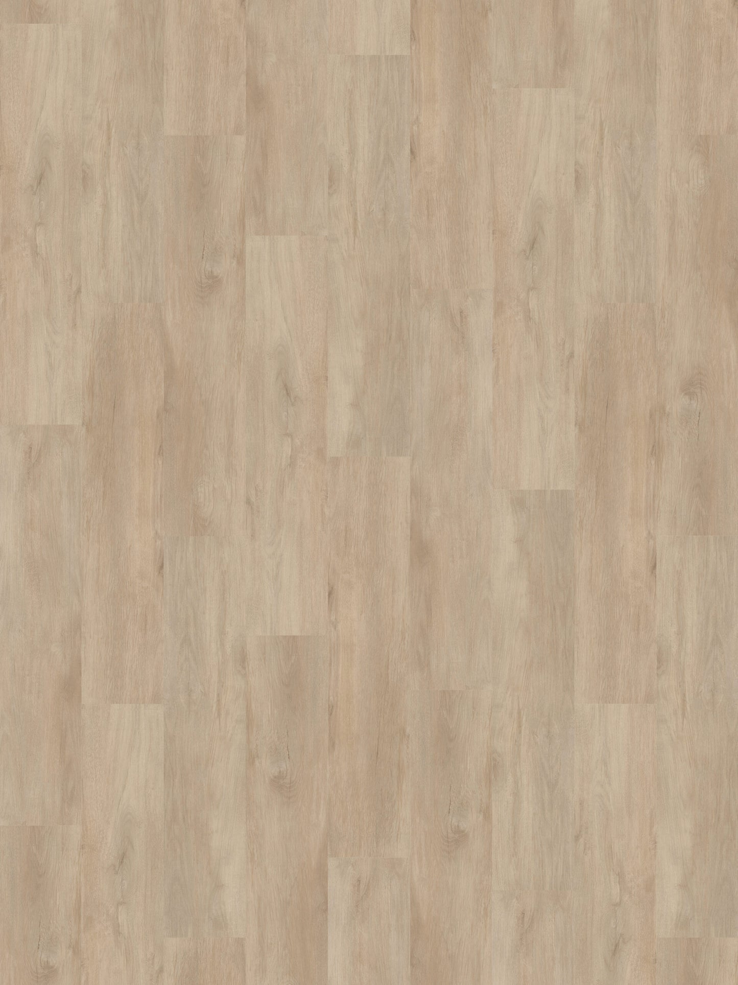 Collection Luxury Vinyl Coastline 4,8 mm, disponible en 1 taille, 10 couleurs et 1 finition.