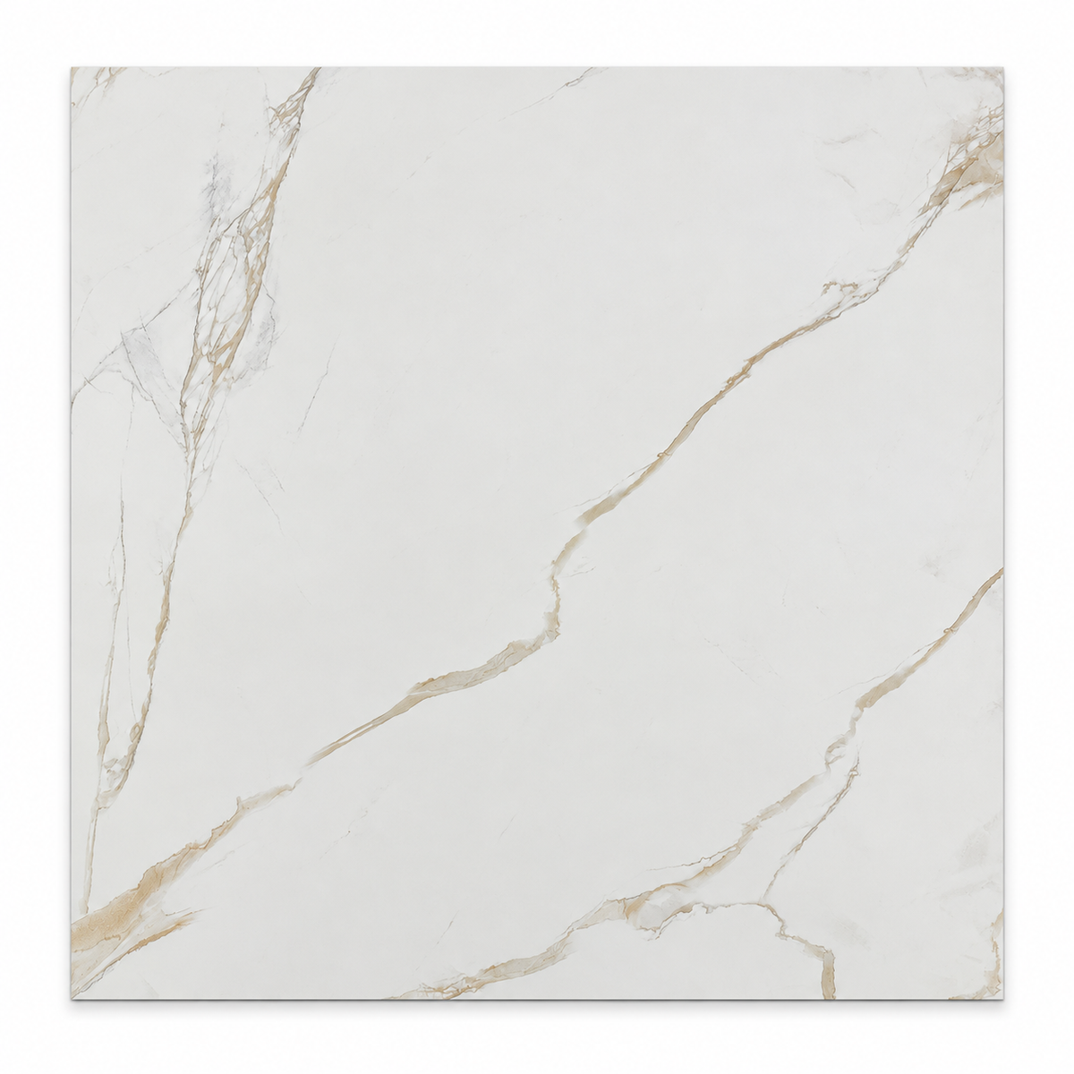 Porcelain Tile MAXIMUS GOLD Collection 3 Sizes 1 Color 2 Finishs