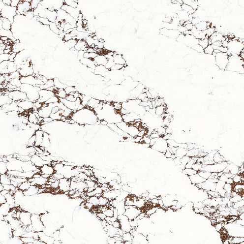 Plan de travail en quartz 2 cm - 3 cm KV017