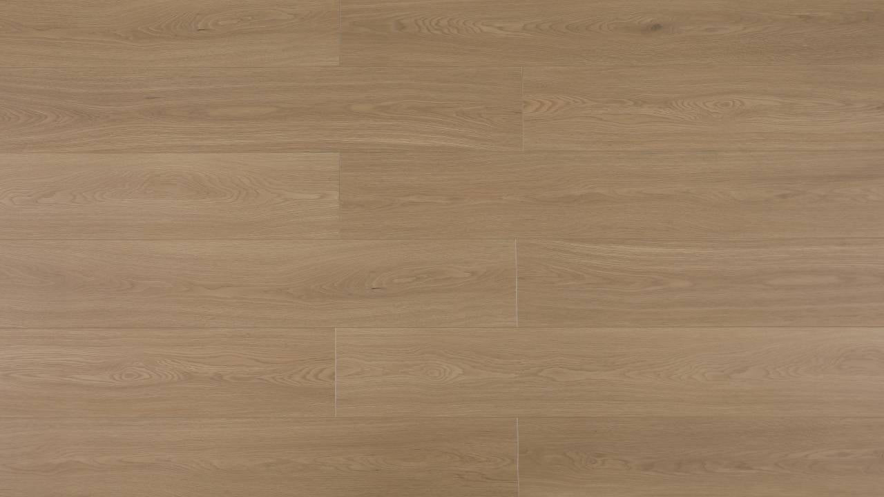 Laminate Flooring  Collection TF25 - 12mm - 1 Color, 1 Size, 1 Finish