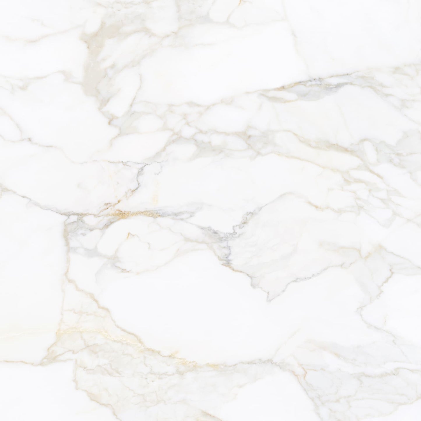 Porcelain Ceramic Tile - Pris Paonazzo Collection available in 3 sizes, 1 color and 2 finishs.