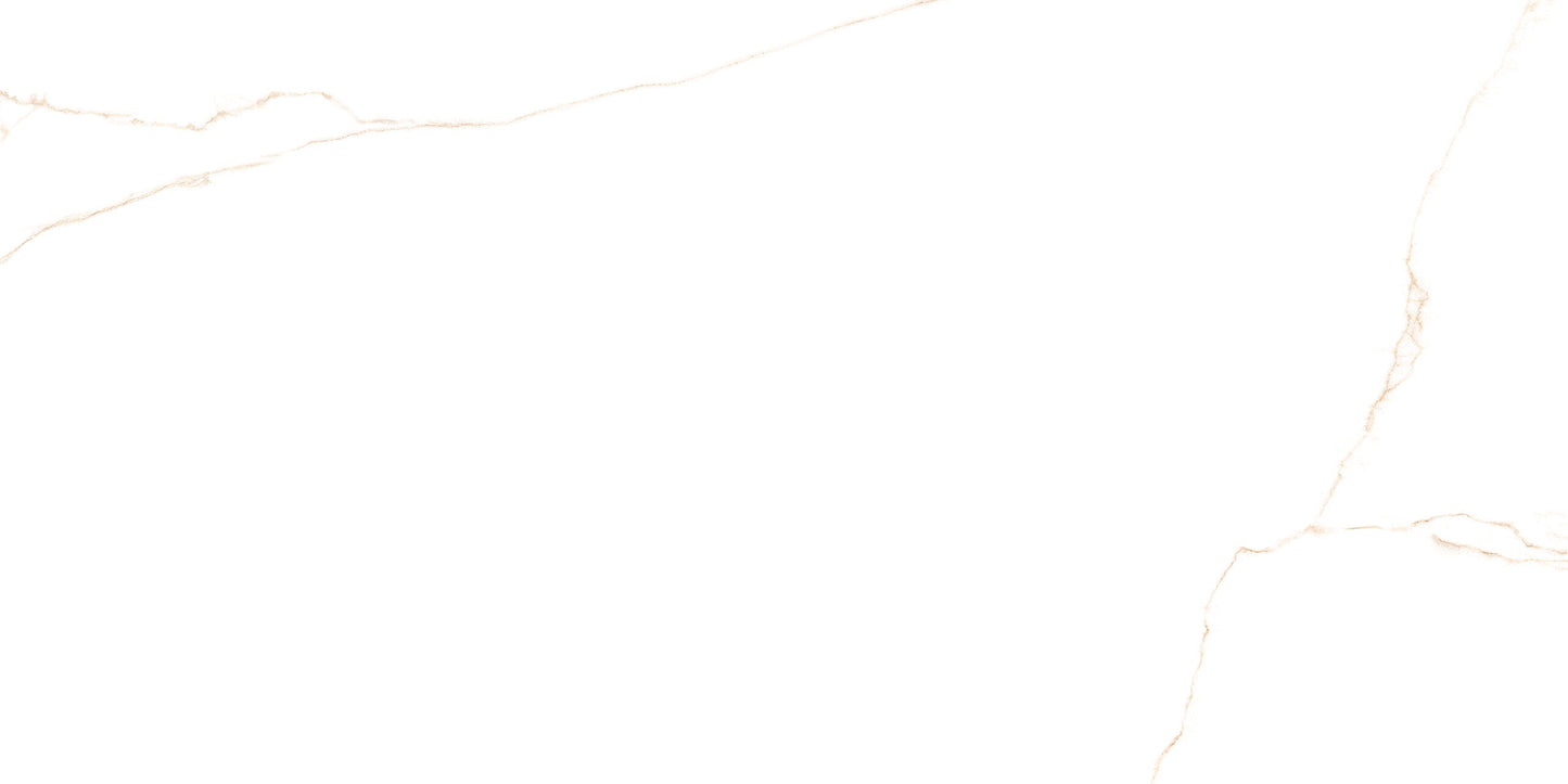 Tuile de céramique porcelaine - Collection Pris LAB. Bianco disponible en 2 tailles, 1 couleur et 1 finition.