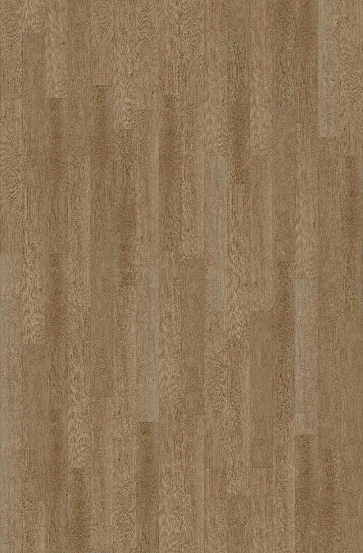Collection Luxury Vinyl Coastline 4,8 mm, disponible en 1 taille, 10 couleurs et 1 finition.