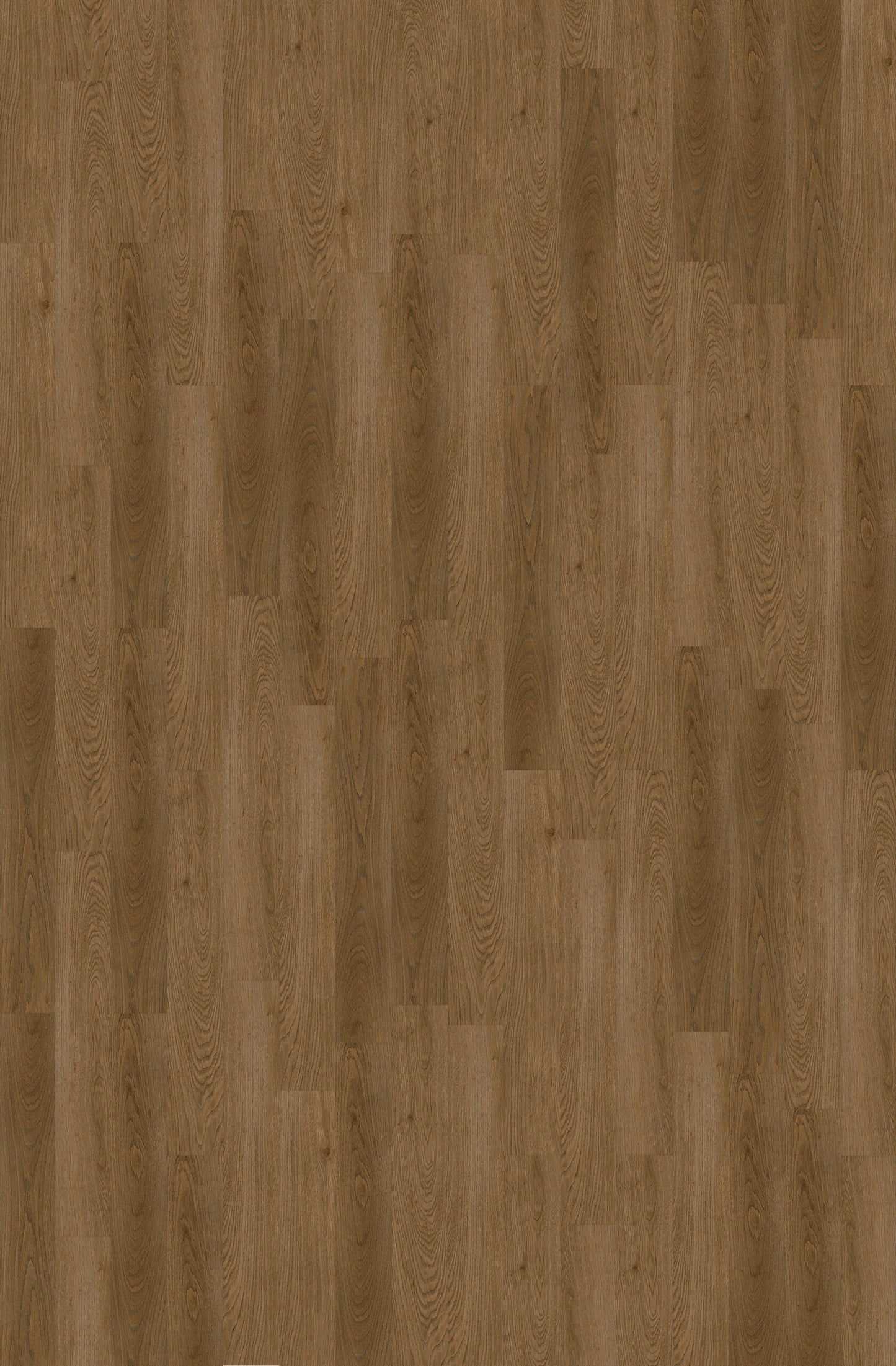 Collection Luxury Vinyl Coastline 4,8 mm, disponible en 1 taille, 10 couleurs et 1 finition.