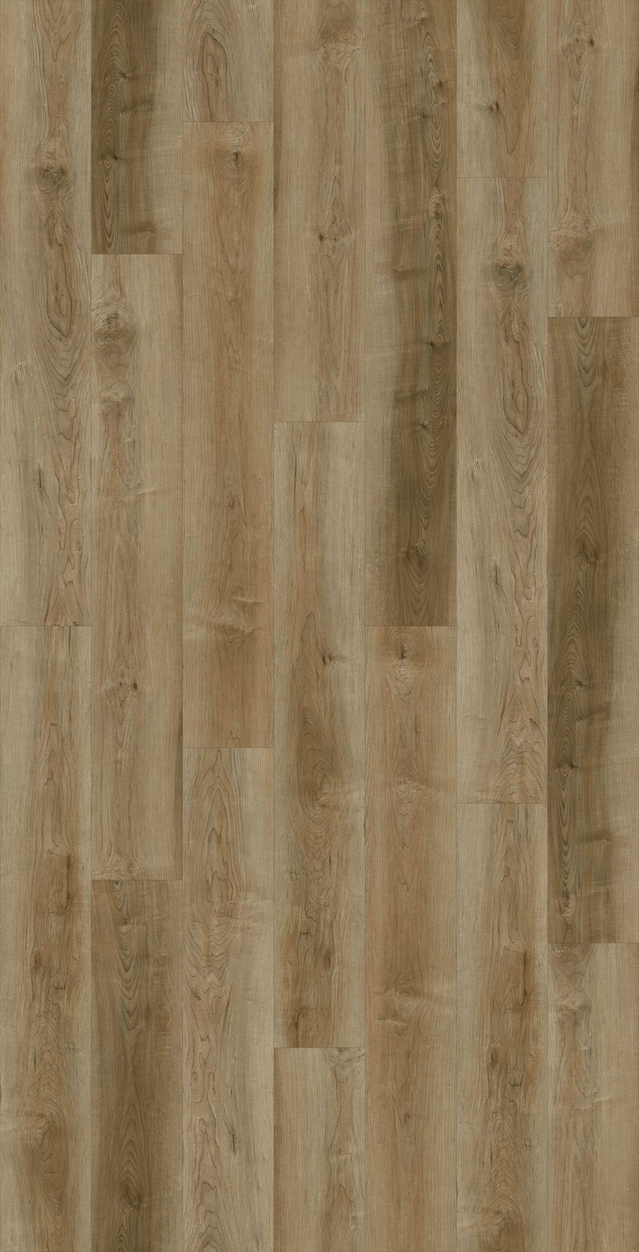 Collection Luxury Vinyl Coastline 4,8 mm, disponible en 1 taille, 10 couleurs et 1 finition.