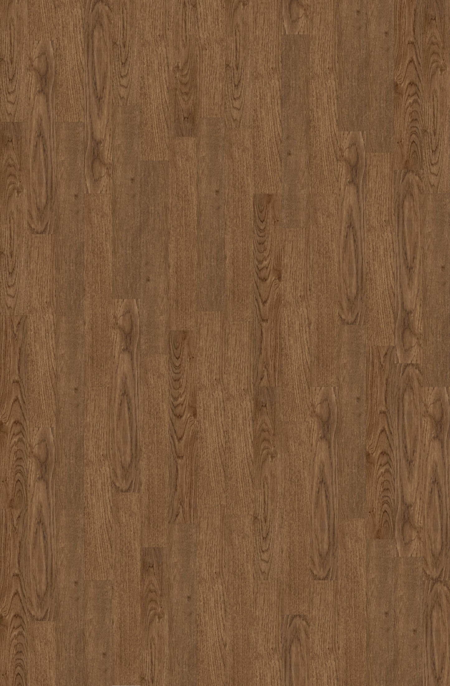 Collection Luxury Vinyl Coastline 4,8 mm, disponible en 1 taille, 10 couleurs et 1 finition.
