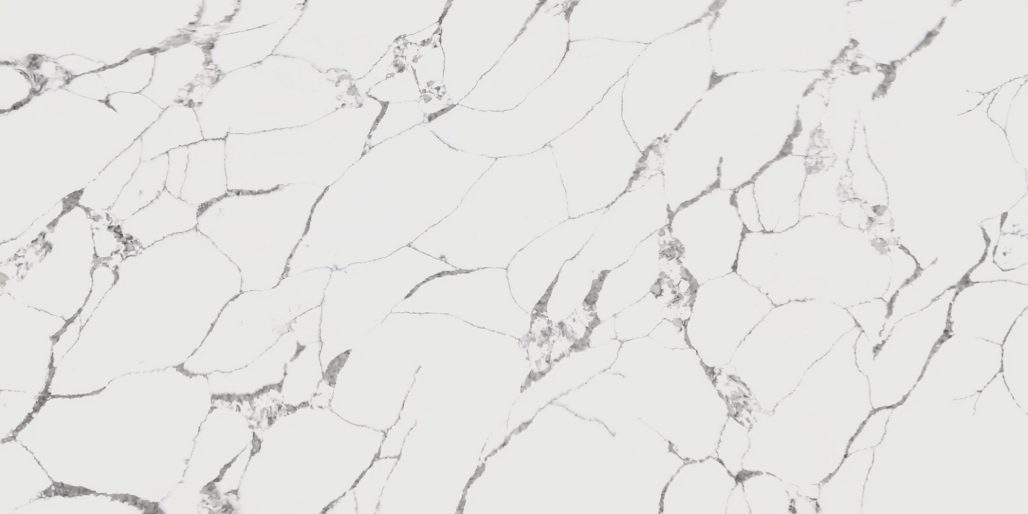 comptoir en Quartz 2 cm - 3 cm TCE4031 Calacatta Forest 63 x 126 po