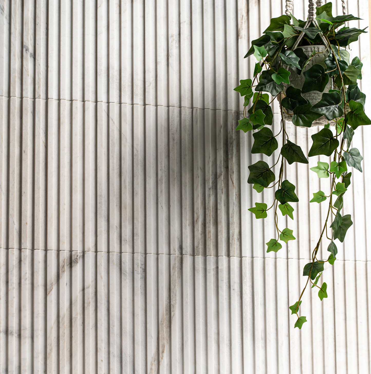 Ceramic Porcelain Tile Arabescato Venato Collection 1 Size 1 Color 1 Finish