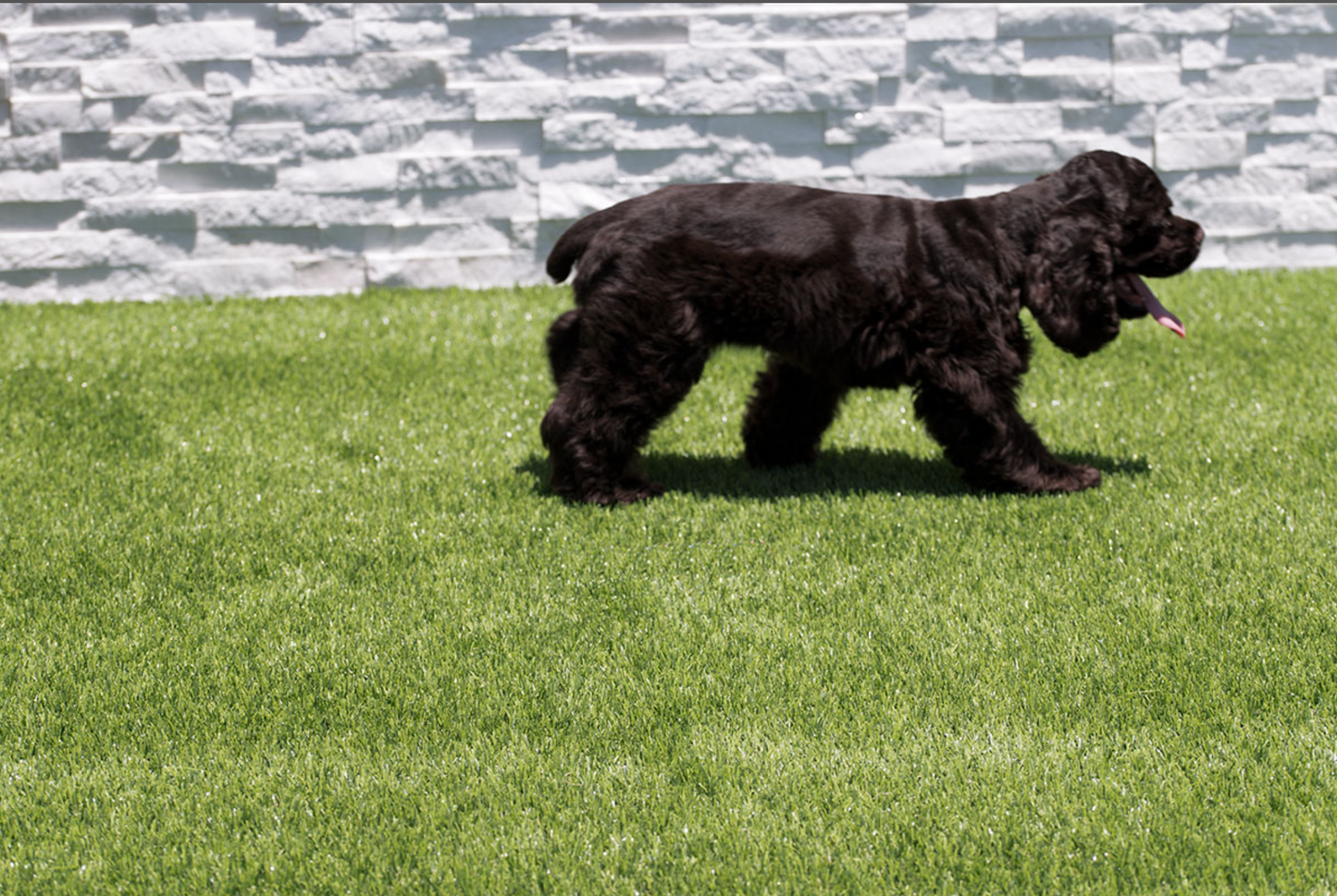 Turf Artificial Grass Emerald Green Turf 76 - 15 FTx100 FT/Roll