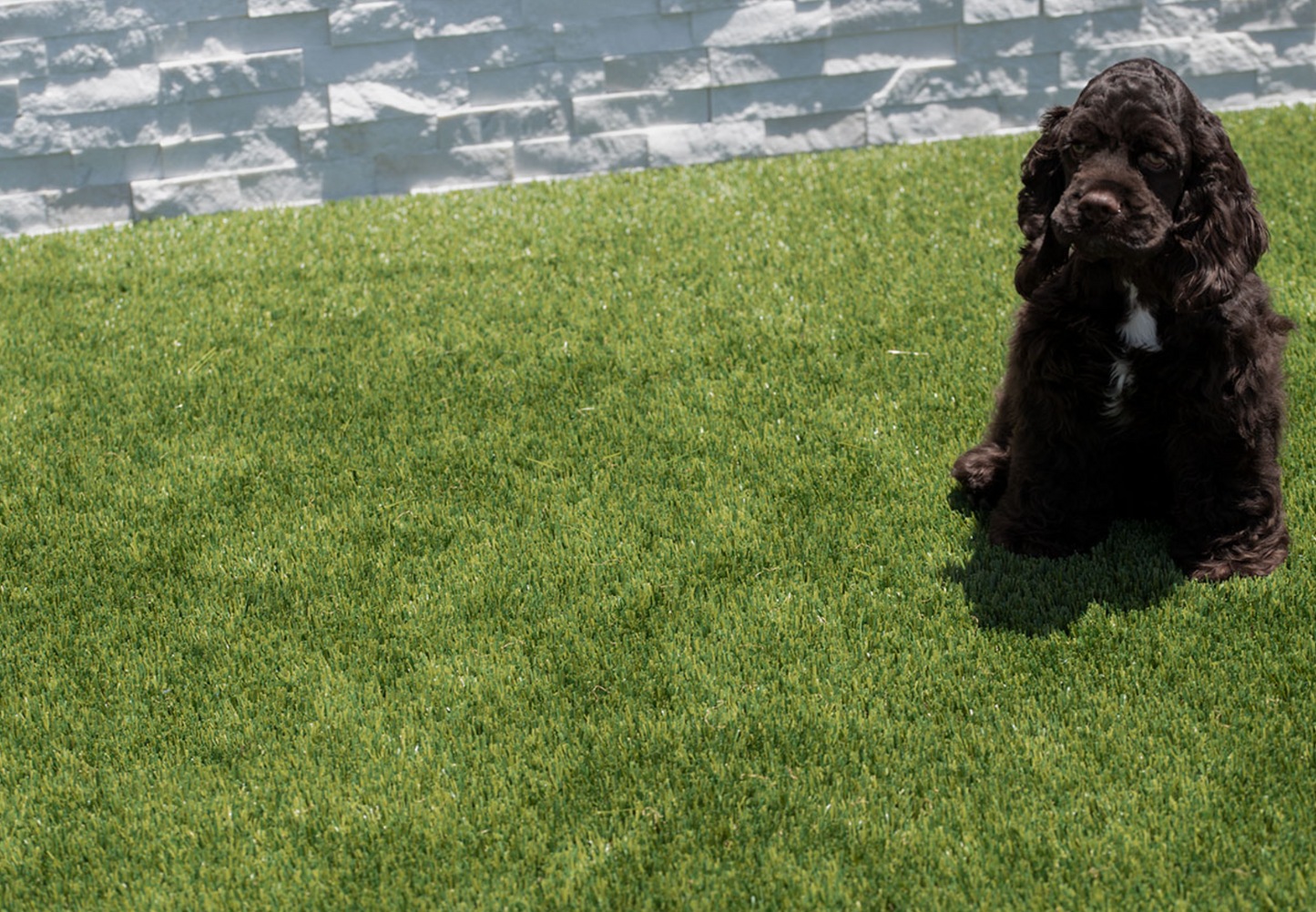 Turf Artificial Grass Viridian Green Turf 91 - 15 FTx100 FT/Roll