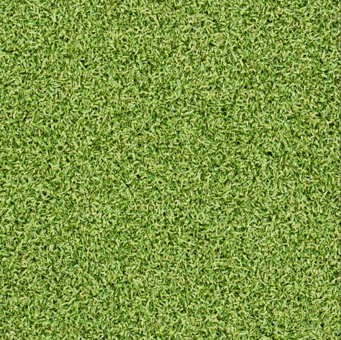Turf Artificial Grass Putting Green Turf 78 - 15 FTx100 FT/Roll