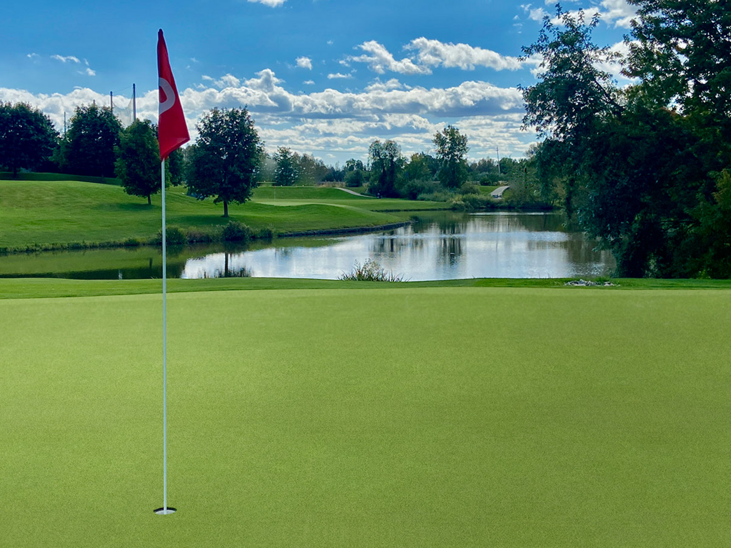 Turf Artificial Grass Putting Green Turf 78 - 15 FTx100 FT/Roll