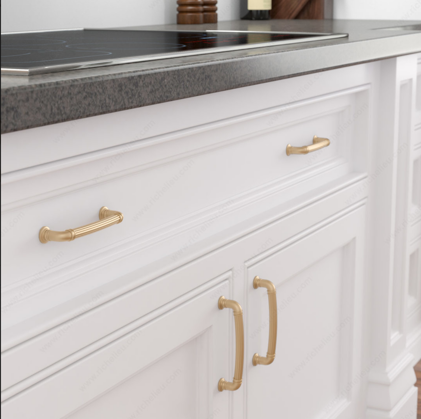 Traditional Metal Pull - 8818 Champagne Bronze Richelieu