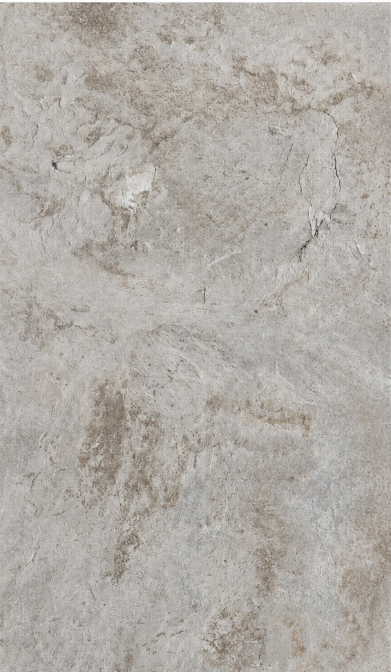 Tuile SPC 12x24 Pouces